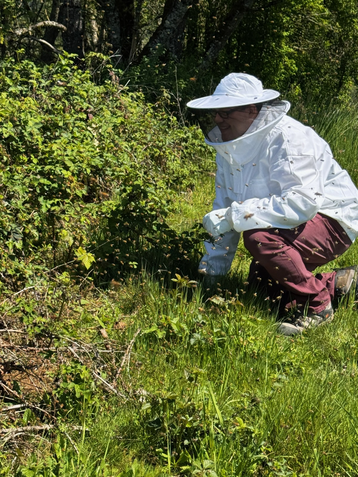 HoneyTide beekeeper working with bees in the field