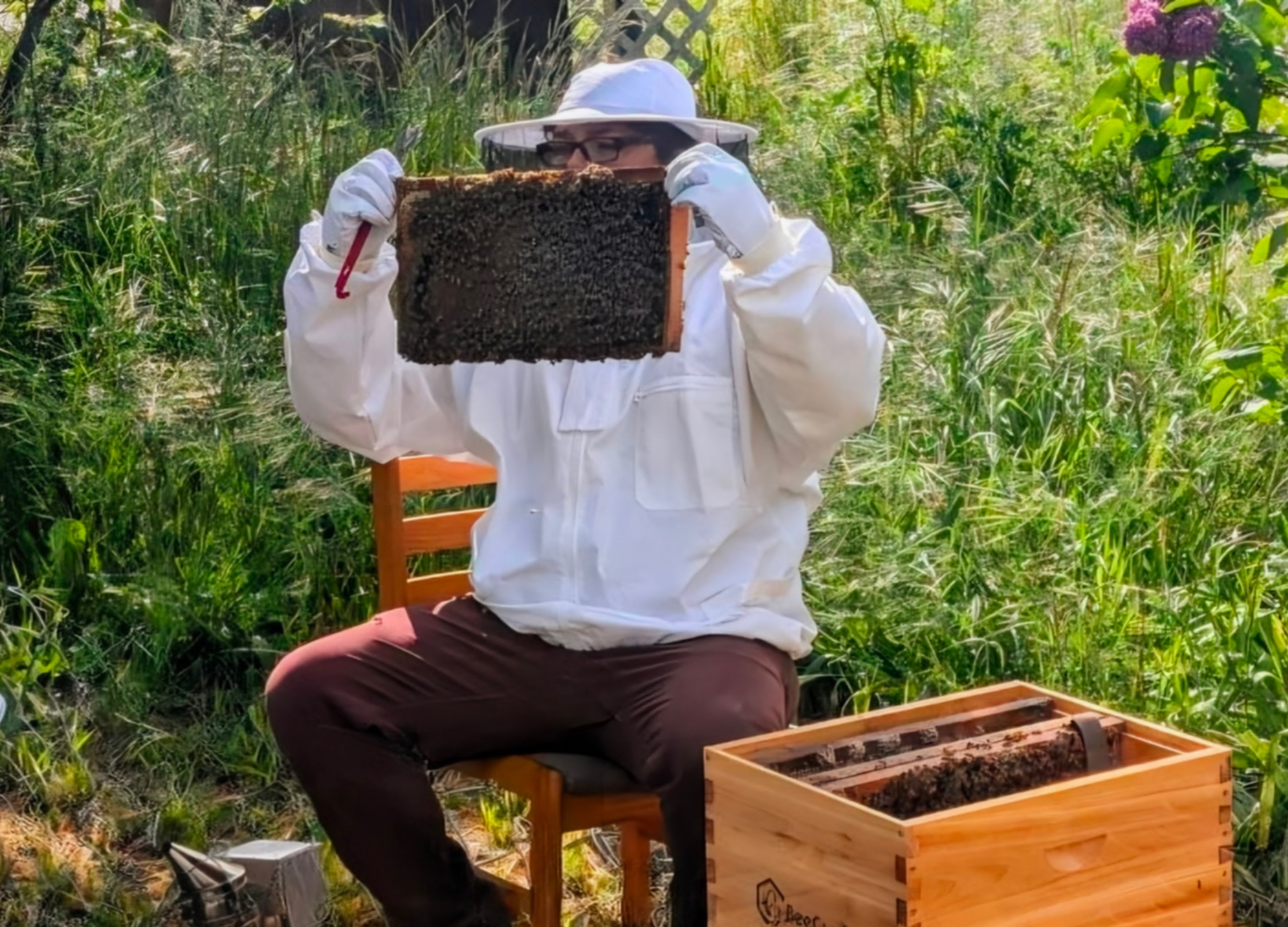 Camron inspecting a honey bee frame at HoneyTide Apiary